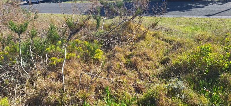 0 Bedroom Property for Sale in Dana Bay Western Cape